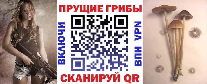 Псилоцибиновые грибы мицелий  наркошоп  Шумиха 